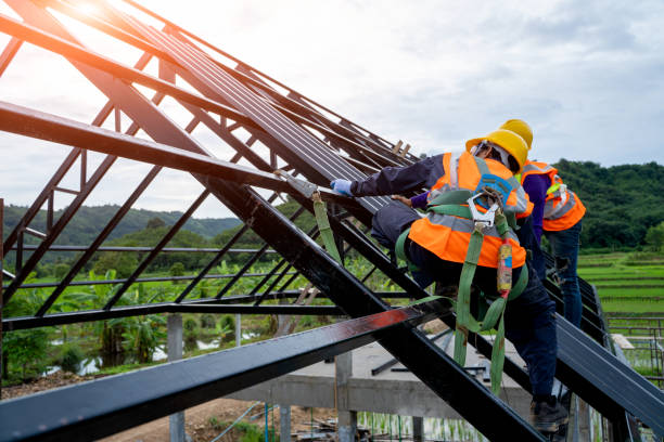 Best Roof Gutter Cleaning  in Sudley, VA