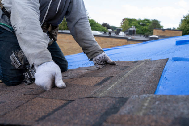 Best Roof Maintenance Services  in Sudley, VA