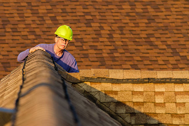 Roof Gutter Cleaning in Sudley, VA